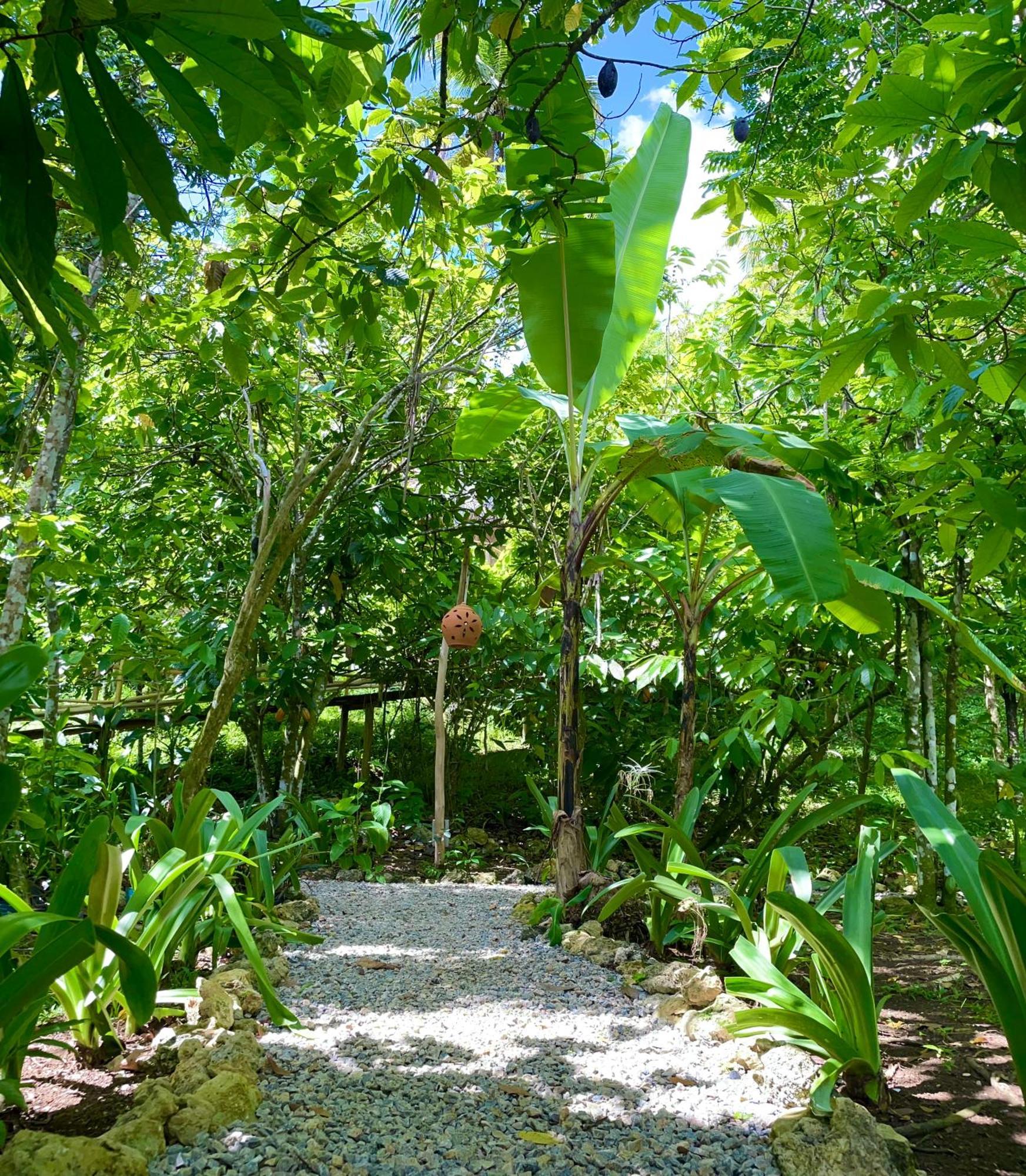 Rancho Romana Ecolodge Park V-01 El Limon Exteriör bild
