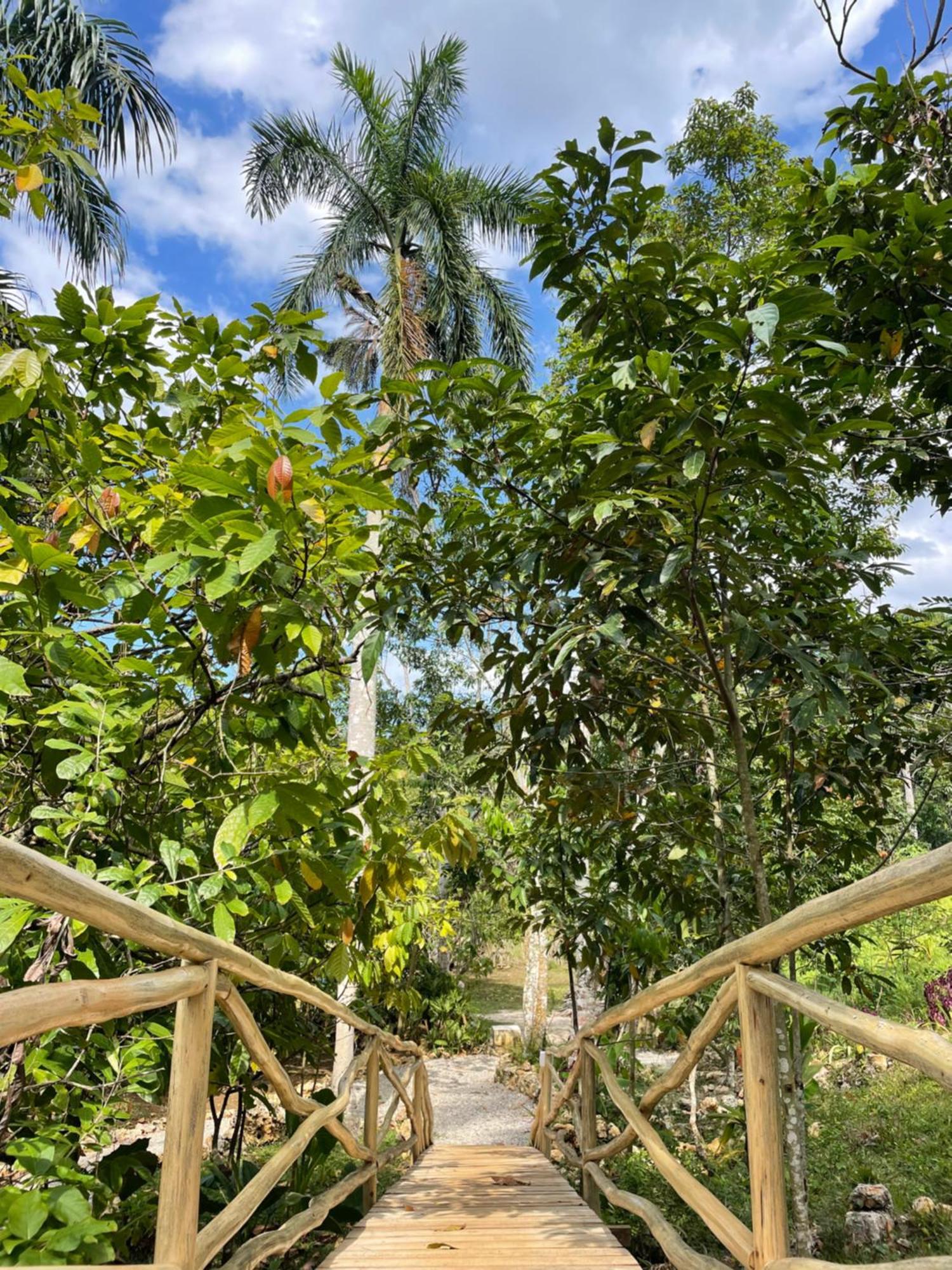 Rancho Romana Ecolodge Park V-01 El Limon Exteriör bild