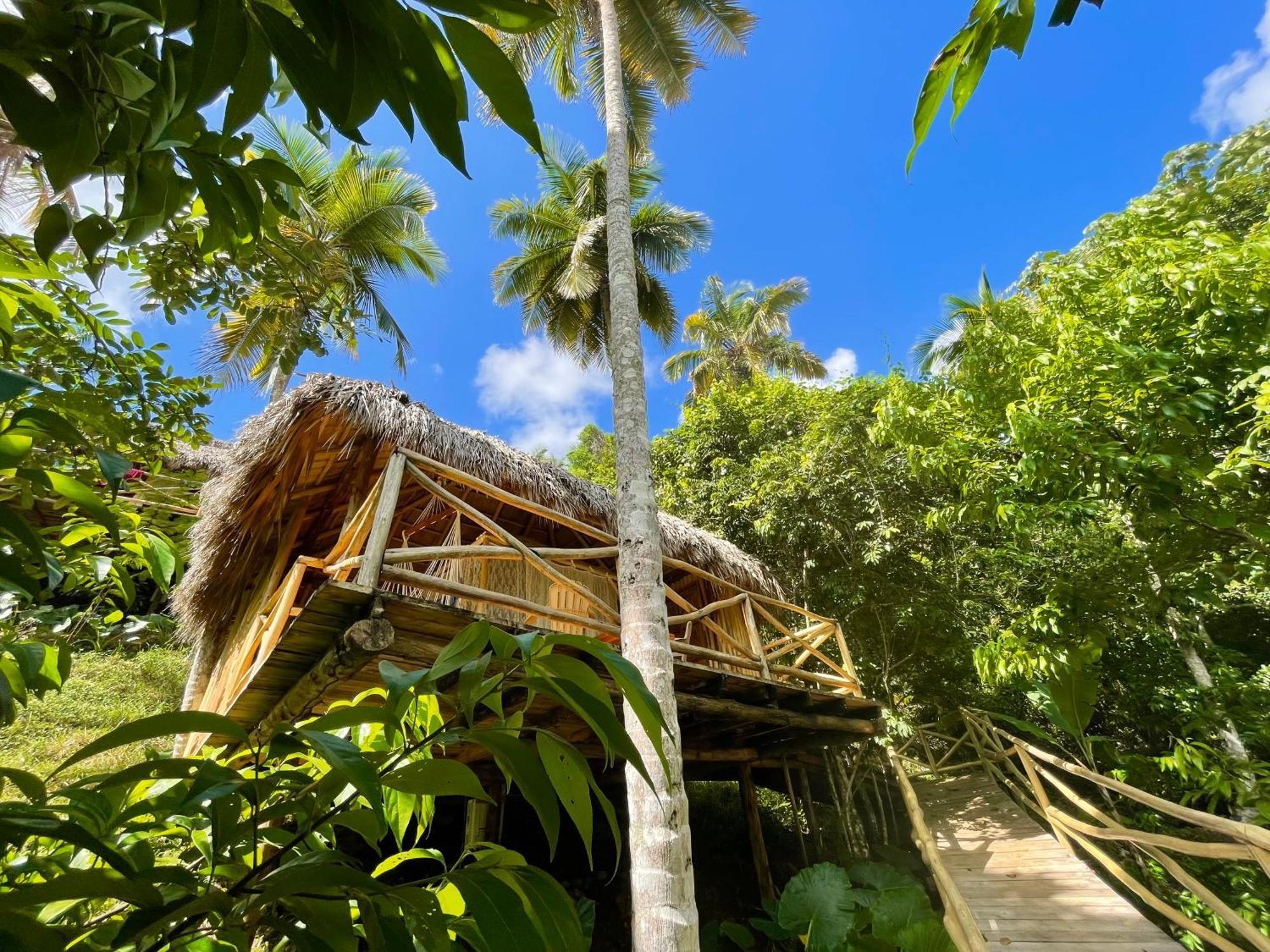 Rancho Romana Ecolodge Park V-01 El Limon Exteriör bild