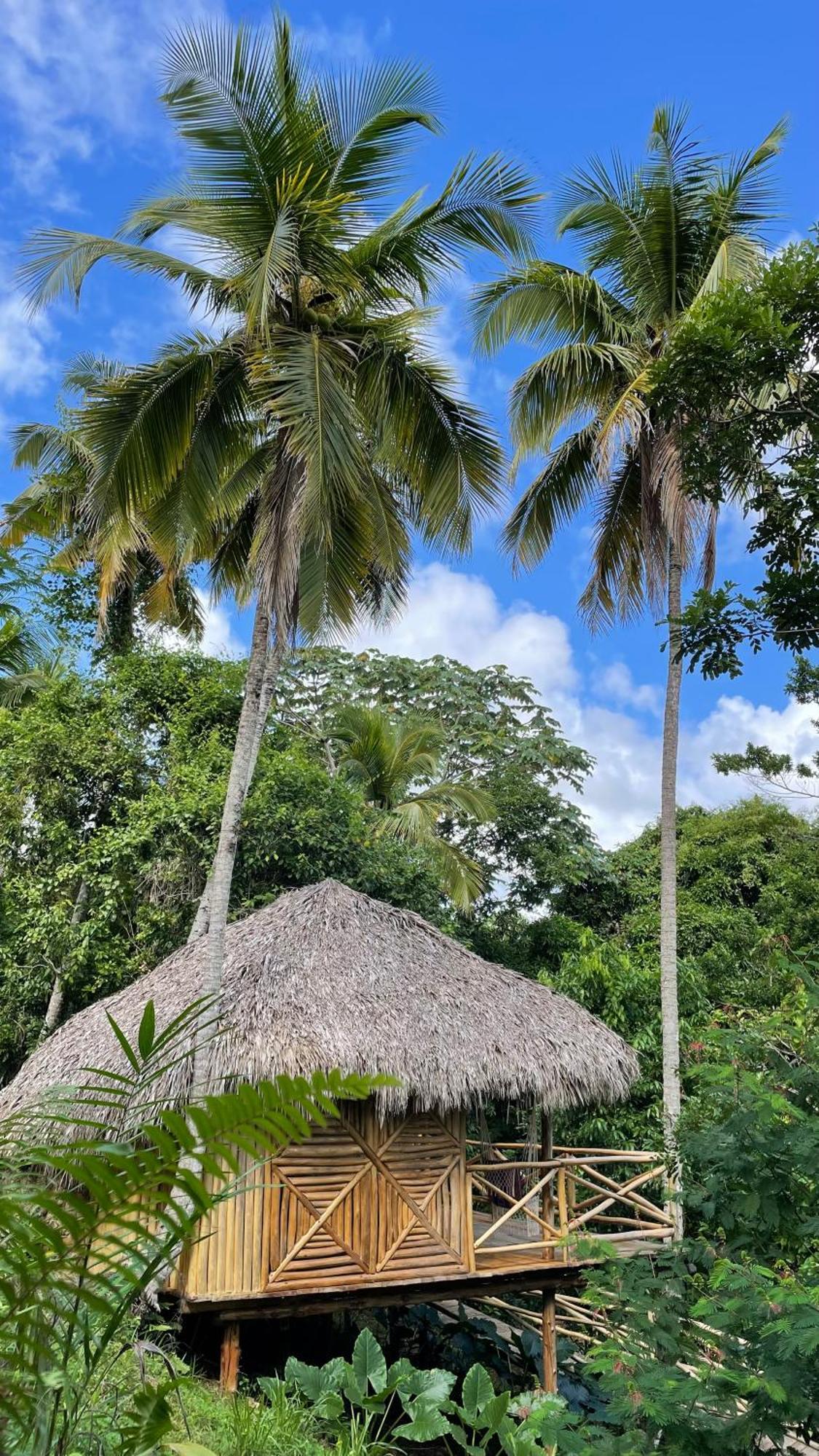 Rancho Romana Ecolodge Park V-01 El Limon Exteriör bild