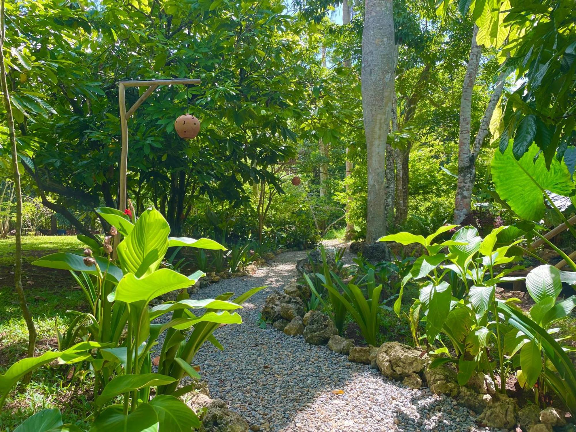 Rancho Romana Ecolodge Park V-01 El Limon Exteriör bild