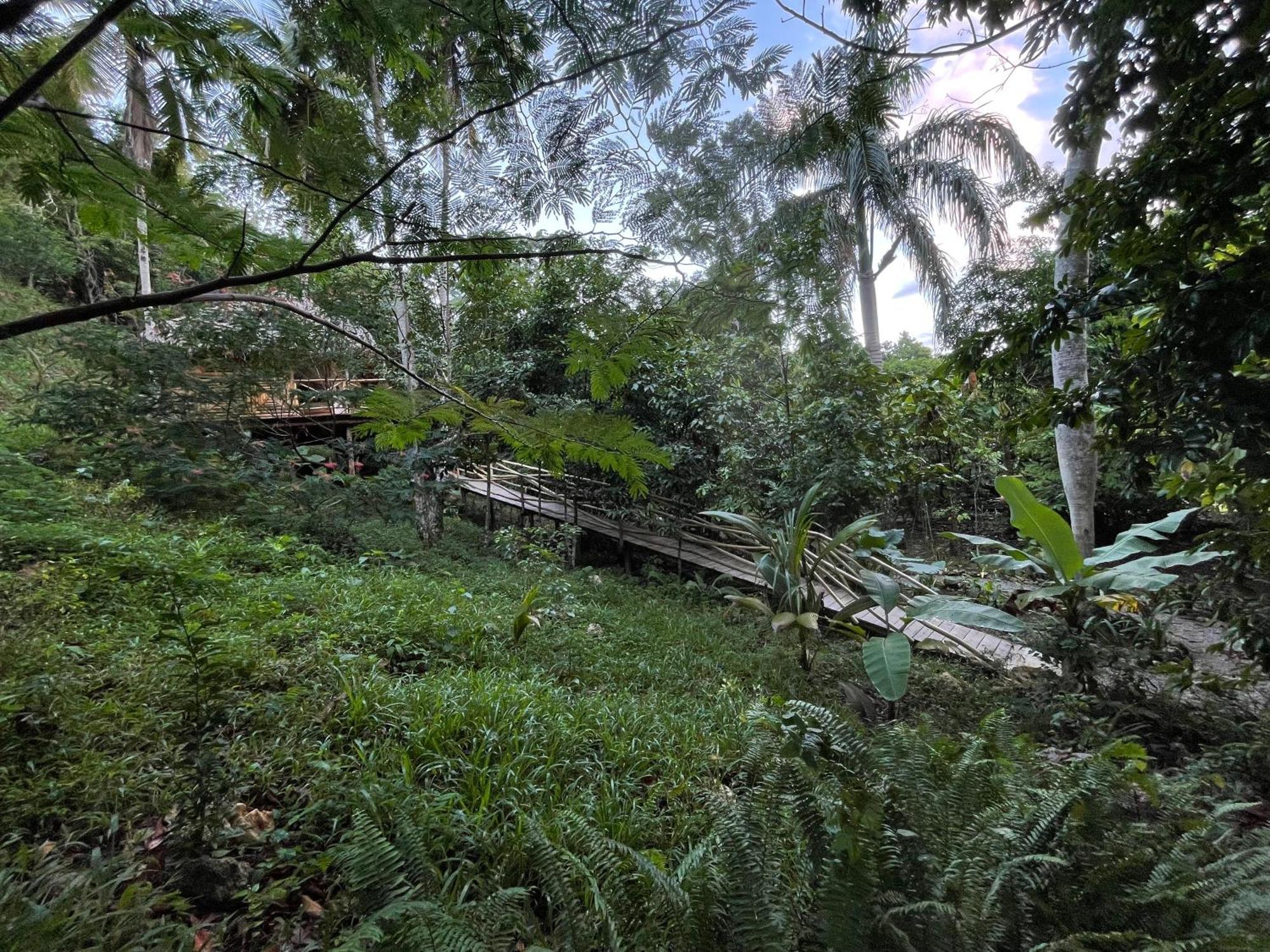 Rancho Romana Ecolodge Park V-01 El Limon Exteriör bild